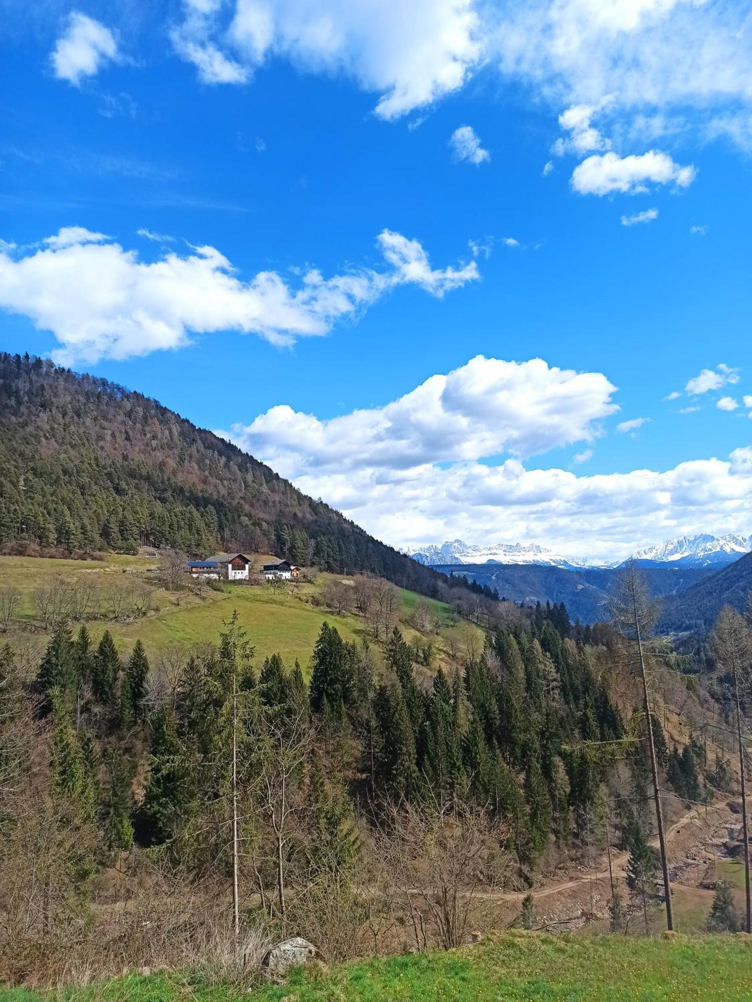Вилла Burgerhof Сан-Дженезио-Атезино Экстерьер фото
